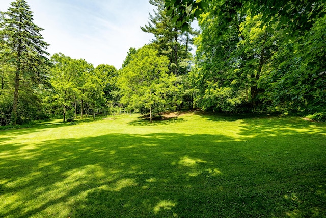 2012 Pontiac Trl, Ann Arbor, MI 48105 - view of grassy yard with a wooded view