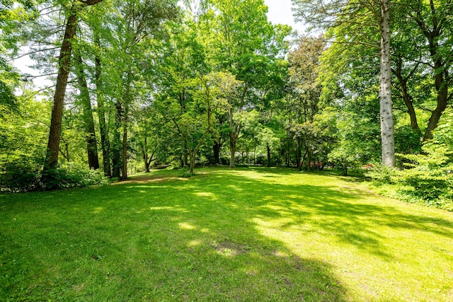 2012 Pontiac Trl, Ann Arbor, MI 48105 - view of green lawn