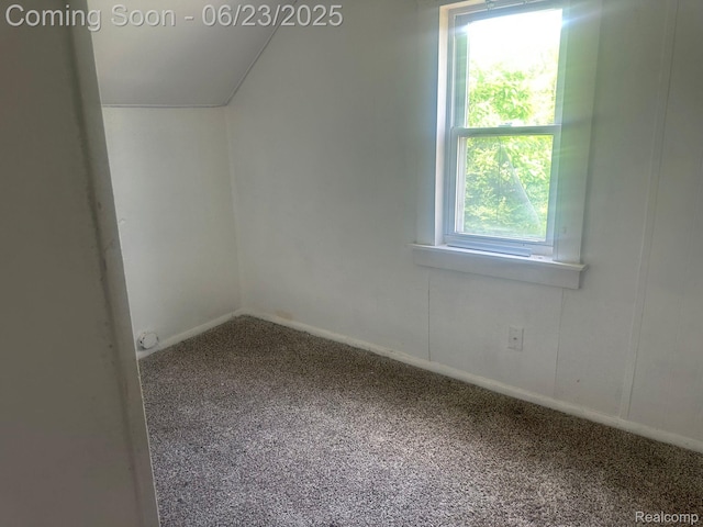4080 Isabelle St, Dearborn, MI 48141 - additional living space with carpet flooring and lofted ceiling
