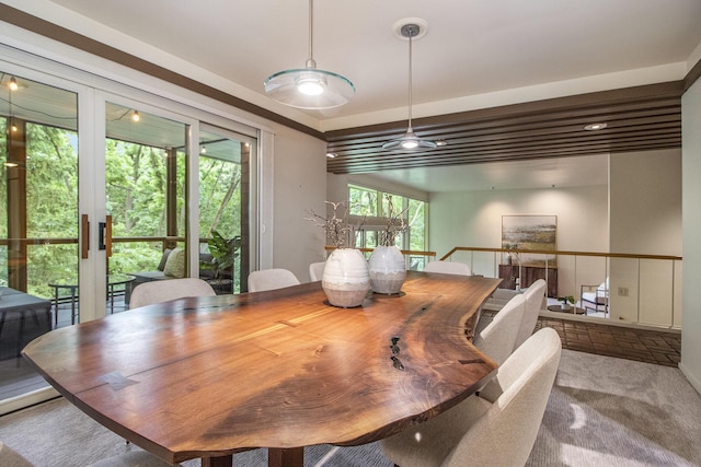 13 Regent Dr, Ann Arbor, MI 48104 - view of carpeted dining area