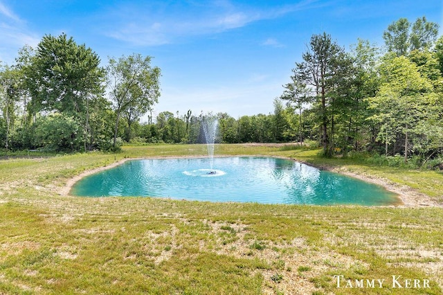 2377 64th St, Fennville, MI 49408 - photo 2