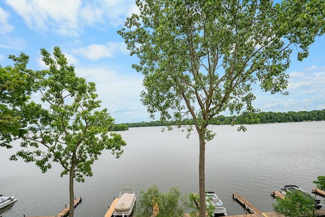 730 Cliffs Dr Unit 304A, Ypsilanti, MI 48198 - water view with a dock
