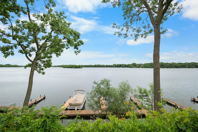 730 Cliffs Dr Unit 304A, Ypsilanti, MI 48198 - dock featuring a water view