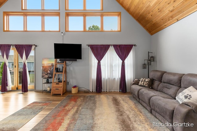 17318 Thunder Bay Ct, Howard City, MI 49329 - living area featuring high vaulted ceiling, wood finished floors, and wood ceiling