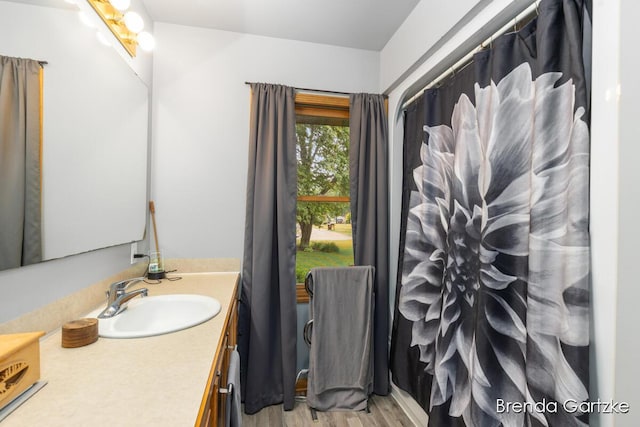 17318 Thunder Bay Ct, Howard City, MI 49329 - bathroom with vanity and wood finished floors