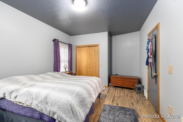 17318 Thunder Bay Ct, Howard City, MI 49329 - bedroom with a closet and hardwood / wood-style floors