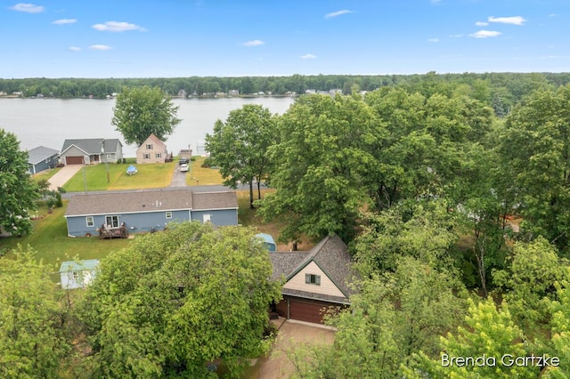 17318 Thunder Bay Ct, Howard City, MI 49329 - aerial view of property and surrounding area with a nearby body of water and a forest