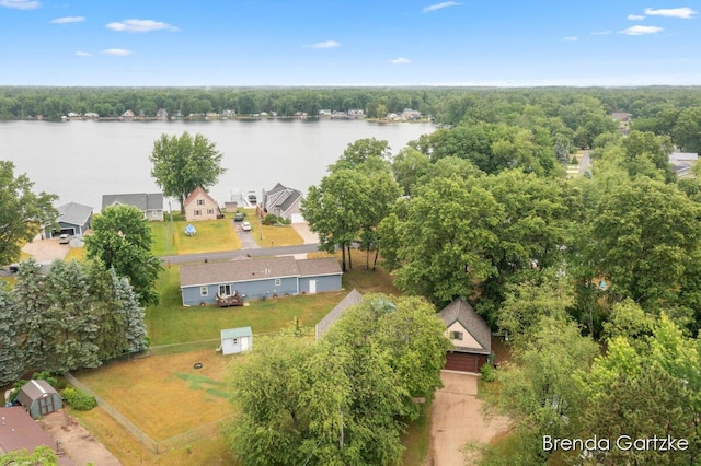 17318 Thunder Bay Ct, Howard City, MI 49329 - bird's eye view of a nearby body of water