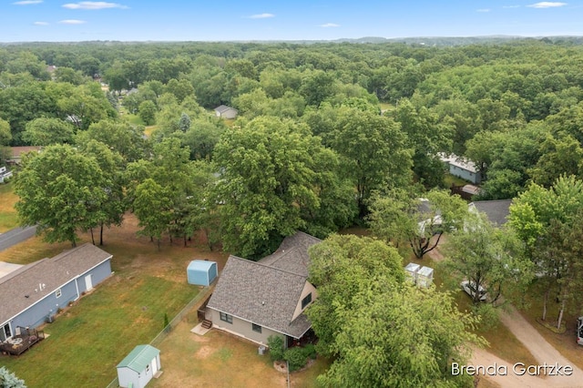 17318 Thunder Bay Ct, Howard City, MI 49329 - bird's eye view of a forest
