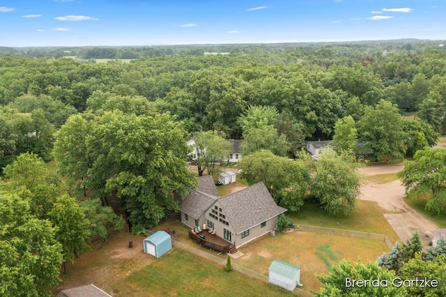 17318 Thunder Bay Ct, Howard City, MI 49329 - aerial view of property and surrounding area with a forest