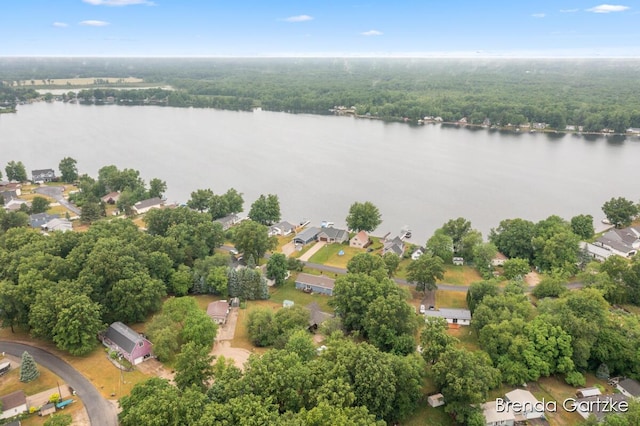 17318 Thunder Bay Ct, Howard City, MI 49329 - aerial view of residential area featuring a nearby body of water