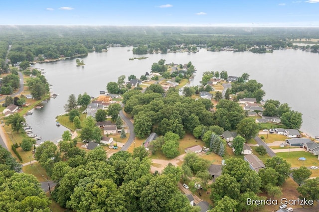 17318 Thunder Bay Ct, Howard City, MI 49329 - aerial perspective of suburban area with a large body of water