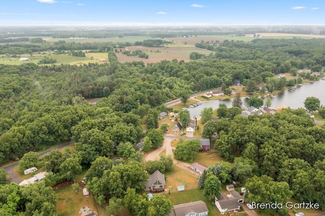 17318 Thunder Bay Ct, Howard City, MI 49329 - aerial view of a nearby body of water and a forest