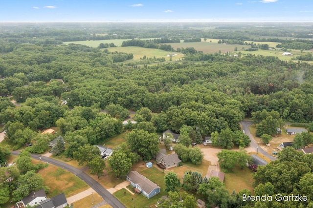 17318 Thunder Bay Ct, Howard City, MI 49329 - drone / aerial view of a heavily wooded area