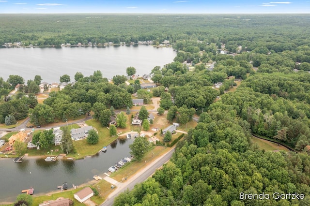 17318 Thunder Bay Ct, Howard City, MI 49329 - aerial view of a heavily wooded area and a large body of water