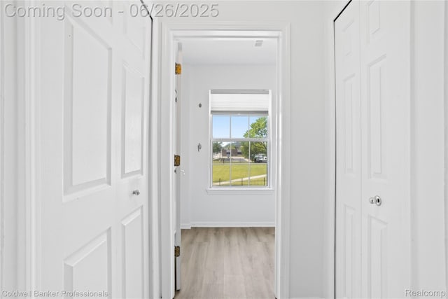 880 Seville Row, Detroit, MI 48202 - hall with wood finished floors and baseboards