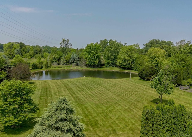 4180 Corey Hwy, Blissfield, MI 49228 - photo 71