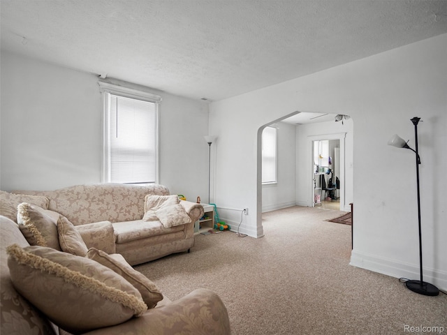 11727 Fleming St, Hamtramck, MI 48212 - living area featuring arched walkways, a textured ceiling, and carpet