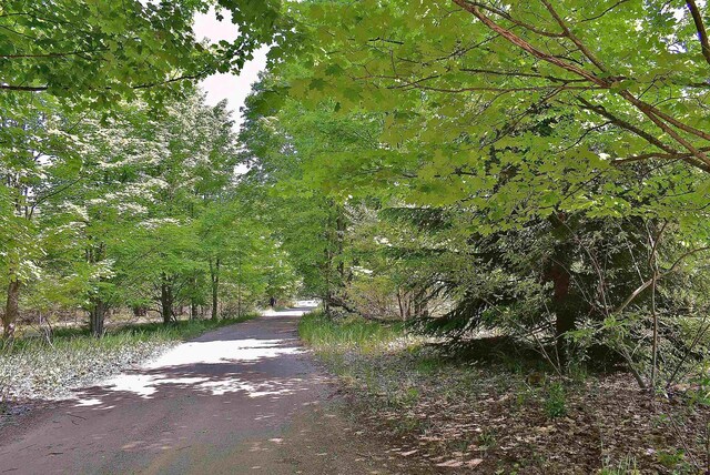 4467 S Forthill Dr, Suttons Bay, MI 49682