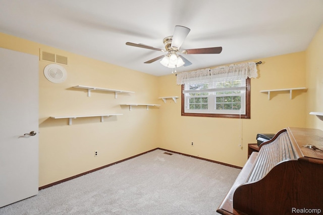 11269 Palm Dr, Warren, MI 48093 - photo 20