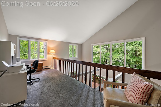 7340 Deer Lake Rd, Clarkston, MI 48346 - carpeted office with vaulted ceiling and a baseboard heating unit