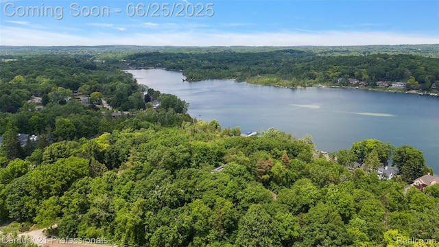 7340 Deer Lake Rd, Clarkston, MI 48346 - drone / aerial view of a forest and a nearby body of water