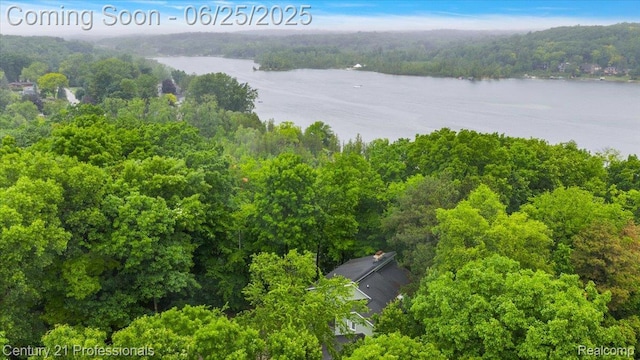 7340 Deer Lake Rd, Clarkston, MI 48346 - aerial view of a nearby body of water