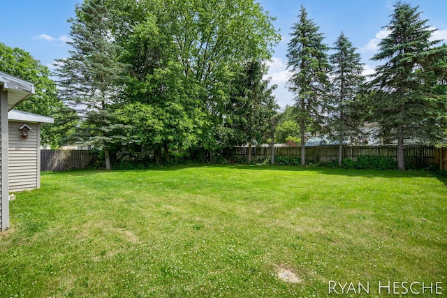 160 Division St, Saranac, MI 48881 - view of fenced backyard