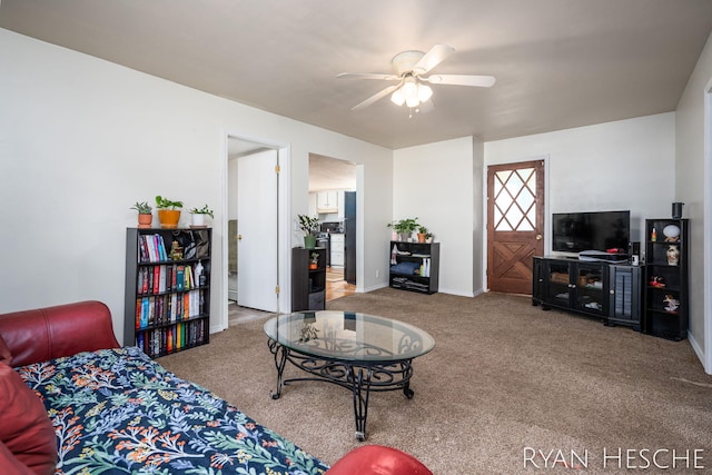 160 Division St, Saranac, MI 48881 - living area with carpet and ceiling fan