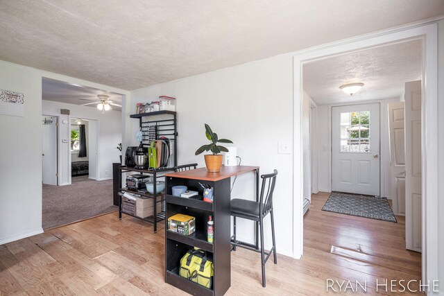 160 Division St, Saranac, MI 48881 - dining room with a textured ceiling, light wood-type flooring, and a ceiling fan