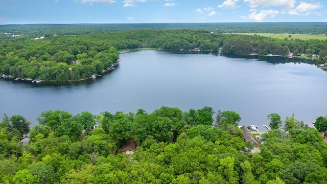 5169 Lake St, Glennie, MI 48737