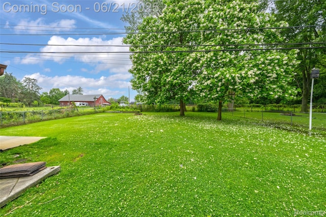 47645 Sugarbush Rd, Chesterfield, MI 48047 - view of yard