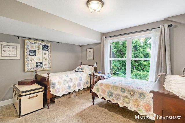 1728 N Brandon Ridge Dr NW, Walker, MI 49544 - bedroom featuring carpet floors and baseboards