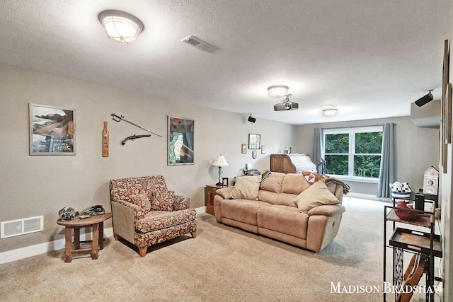 1728 N Brandon Ridge Dr NW, Walker, MI 49544 - living area with carpet flooring and a textured ceiling
