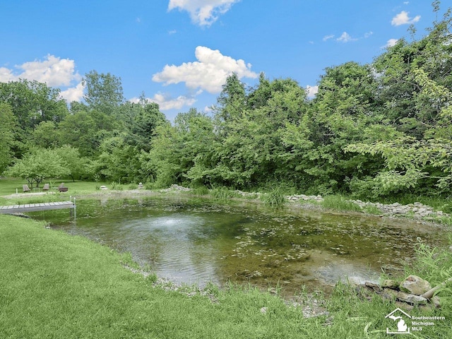 2252 W Temperance Rd, Temperance, MI 48182 - water view featuring a forest