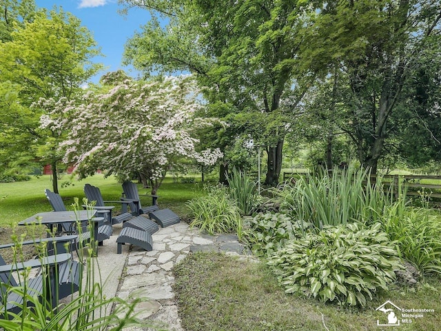 2252 W Temperance Rd, Temperance, MI 48182 - view of grassy yard with a patio area and view of scattered trees