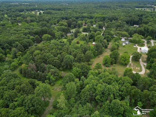 2252 W Temperance Rd, Temperance, MI 48182 - drone / aerial view of a heavily wooded area