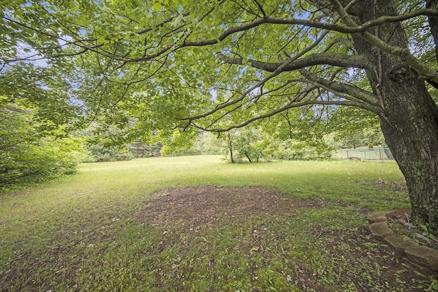 6109 Young Rd, Jackson, MI 49201 - photo 28