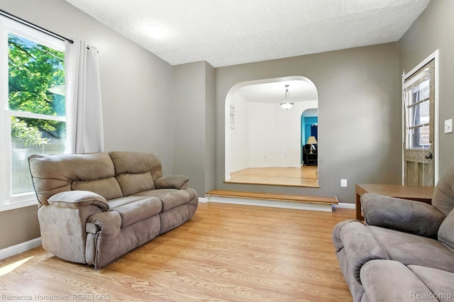 42424 Bradner Ct, Plymouth, MI 48170 - living room featuring arched walkways, wood finished floors, and a textured ceiling