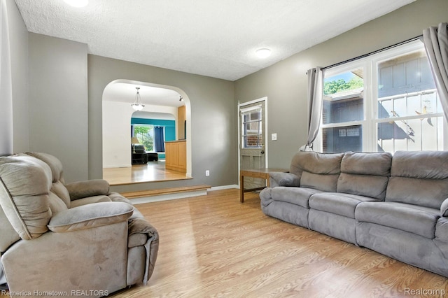 42424 Bradner Ct, Plymouth, MI 48170 - living room featuring arched walkways, wood finished floors, and a textured ceiling