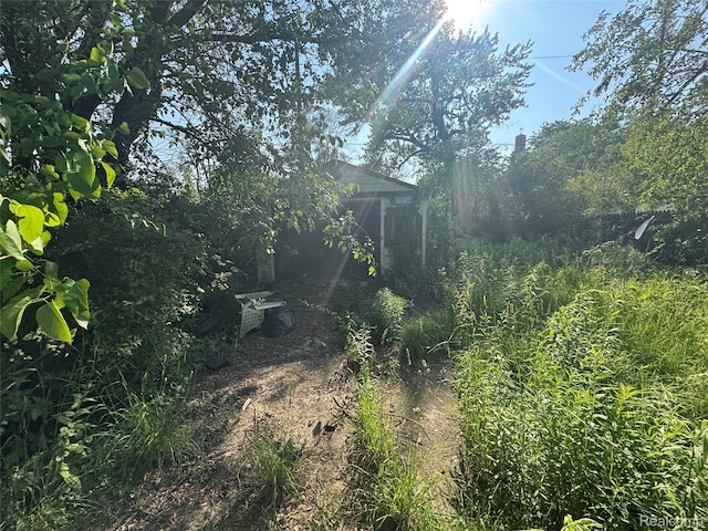 11343 Belleterre St, Detroit, MI 48204 - view of yard