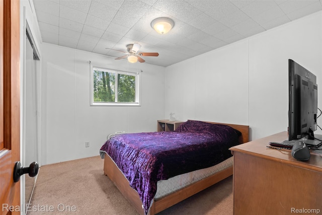6617 Kilburn Rd, Grant, MI 48032 - view of carpeted bedroom