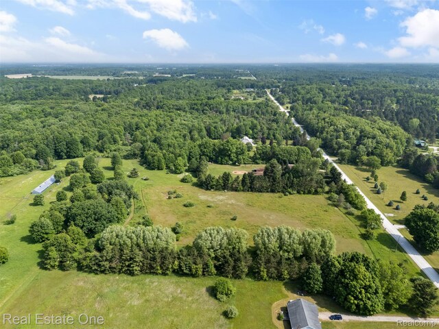 6617 Kilburn Rd, Grant, MI 48032 - bird's eye view of a forest