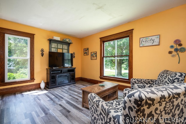 409 W Bridge St, Lyons, MI 48851 - living room with plenty of natural light and wood finished floors
