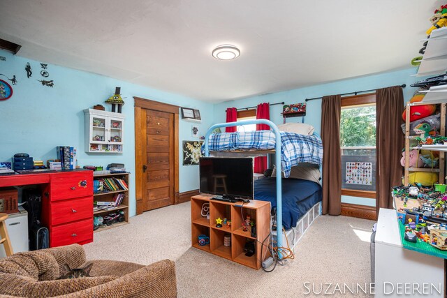 409 W Bridge St, Lyons, MI 48851 - bedroom featuring carpet floors