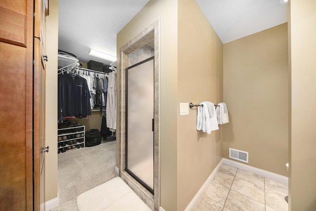 117 High View Ct, Brooklyn, MI 49230 - bathroom featuring a spacious closet, a shower stall, and tile patterned floors