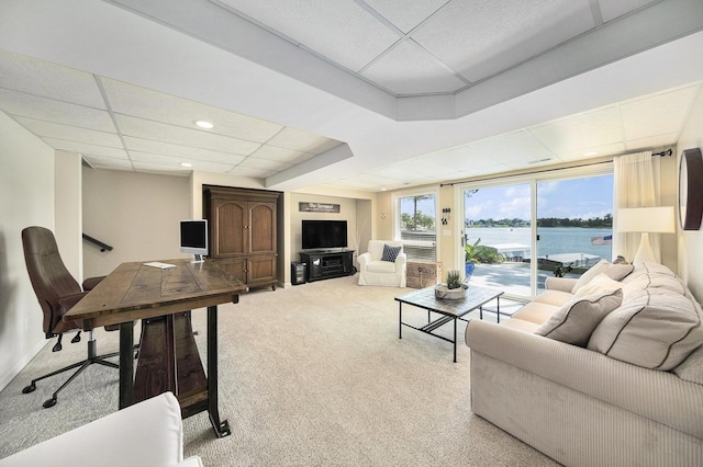 117 High View Ct, Brooklyn, MI 49230 - living area with light carpet, recessed lighting, and a drop ceiling