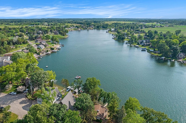 117 High View Ct, Brooklyn, MI 49230 - aerial view of residential area featuring a nearby body of water