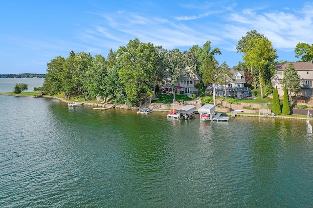 117 High View Ct, Brooklyn, MI 49230 - water view featuring a boat dock