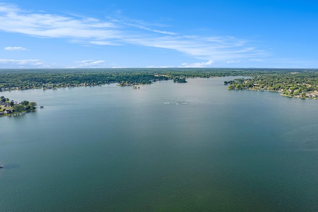 117 High View Ct, Brooklyn, MI 49230 - water view